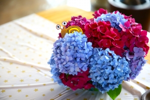 1R8A0141.JPG