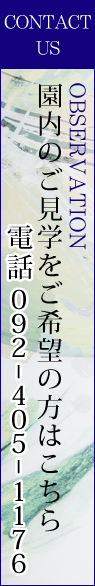 園内のご見学をご希望の方はこちら