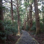 熊野古道.jpg